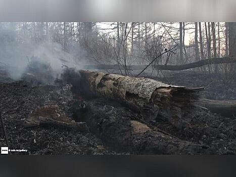 Виновник пожара из Петровск-Забайкальского заплатит более 750 тысяч рублей