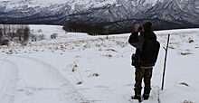 Сотрудники Северо-Осетинского заповедника по следам насчитали более 100 зубров