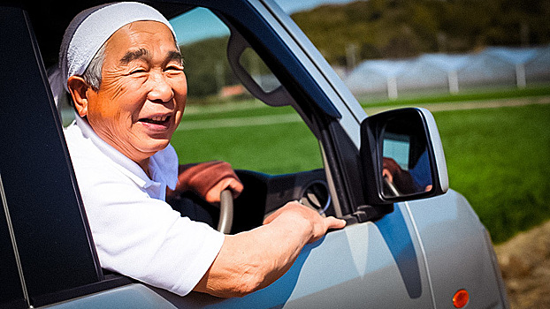В Японии введут автомобильные права для стариков