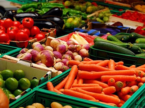 Ученые из России рассказали о пользе овощей для микрофлоры кишечника