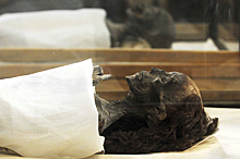 В печени мумии обнаружены опасные паразиты