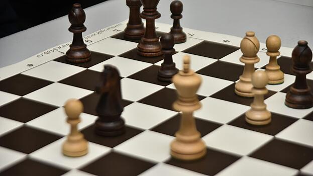 Лучшую шахматистку назовут 24 мая в Вологодской области