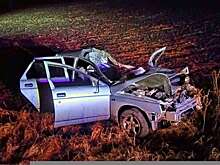 В Кувандыкском ГО после ДТП с лошадью водитель «ВАЗа» попал в больницу