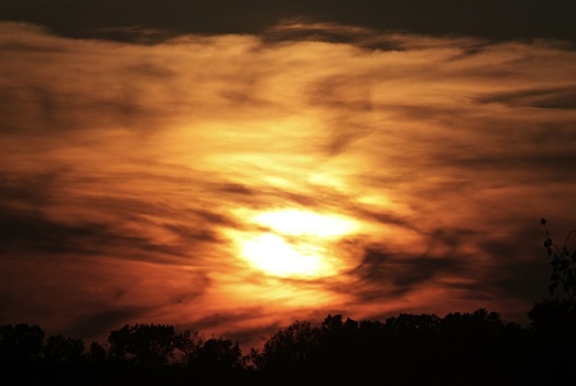 Ученые выяснили, сколько продлится период аномальной жары на Земле