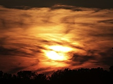 Ученые выяснили, сколько продлится период аномальной жары на Земле