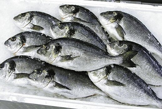 Россельхознадзор во Внуково вернул отправителю более 250 кг охлажденной рыбы из Мавритании