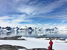 В МИД предупредили об угрозе военных провокаций НАТО в Арктике