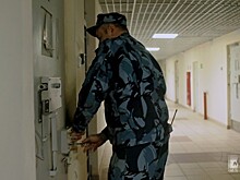В Петербурге отправили в СИЗО злоумышленника, выманившего почти 100 млн руб