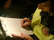 В Муроме нетрезвый водитель попытался откупиться от полицейского телефоном