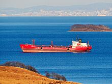 В Индии сделали заявление о закупках нефти из России