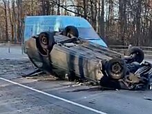 Под Коломной дерево рухнуло на автомобиль рязанцев прямо во время движения
