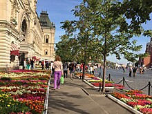 Летней жары в Москве уже не будет