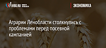 Аграрии Ленобласти столкнулись с проблемами перед посевной кампанией