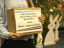 Подарки для Снежного: самарцы собрали книги для юных читателей из Донбасса