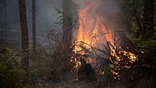 На Дальнем Востоке количество лесных пожаров выросло вдвое