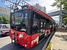 Во Владивостоке в ДТП с троллейбусом пострадали трое детей и один взрослый