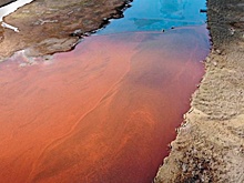 Росприроднадзор не намерен сжигать разлившиеся нефтепродукты в Норильске