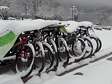 Власти задумались сделать велопрокат в Москве круглогодичным