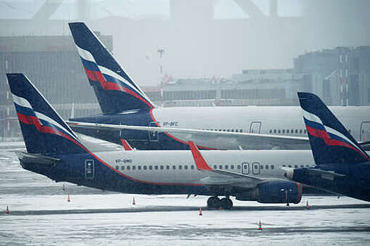 Авиакомпании "Аэрофлот" и "Россия" продолжили рейсы в Египет на других самолетах