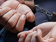 Сотрудниками полиции задержаны подозреваемые в совершении серии краж из автомобилей в Московской области