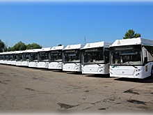 В районах Воронежской области с 11 августа подорожает проезд