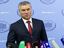 Володин ответил на решение некоторых СМИ приостановить работу в Госдуме