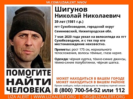 39-летний Николай Шигунов пропал в Нижегородской области