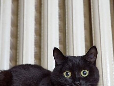 В некоторых домах Уфы снизят отопление и отключат горячую воду