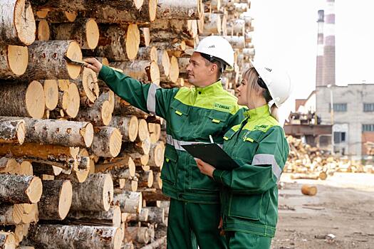 «Свеза» отметила День работников леса награждением сотрудников