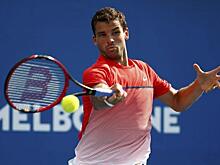 Болгарин Димитров вышел в полуфинал Australian Open
