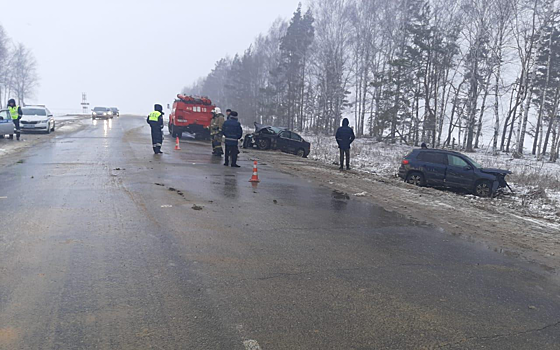 В аварии с BMW в Сасовском районе погибла семилетняя девочка
