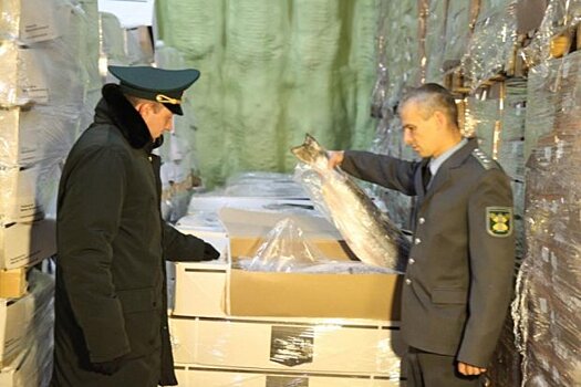 76 кг рыбы из Туниса запретили ввозить в Москву