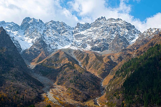 Под куполом вековых сосен