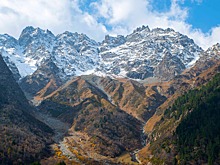 Под куполом вековых сосен