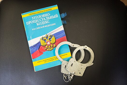 В Серпухове перед судом предстанет водитель, сбивший двух человек