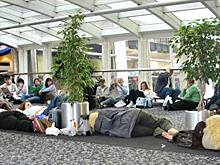 В «Единой России» предлагают установить штраф за просрочку доставки авиапассажира и его багажа