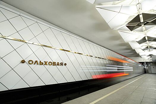 Москвичам рассказали об особенностях необычных изогнутых станций метро