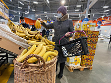 Россияне стали массово скупать бананы в Подмосковье из-за сбежавшей обезьяны
