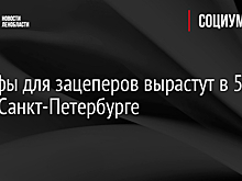 Штрафы для зацеперов вырастут в 50 раз в Санкт-Петербурге