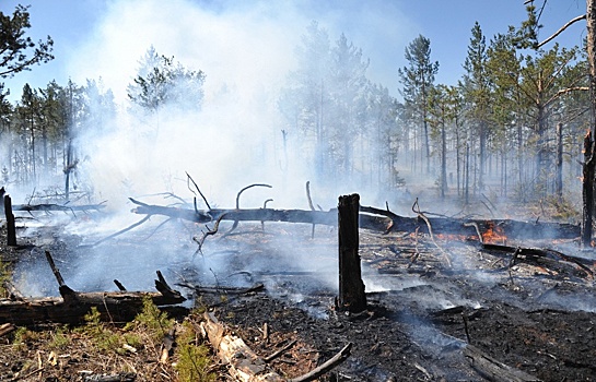 Военные потушили два лесных пожара рядом со старейшим селом Тувы