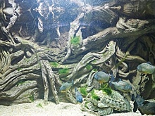 Один человек погиб в Крыму из-за непогоды