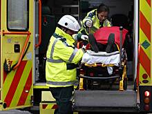 Моряк откусил кусок уха старпома, пожевал и выплюнул