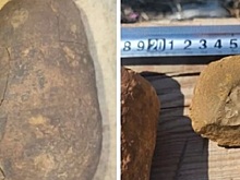 Под Новосибирском в продаже появилось яйцо динозавра за 10 млн рублей