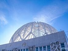 Атаки клоунов. Конфликт Анатолия Марчевского и Росгосцирка вышел за арену