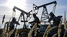 ОПЕК сохранила прогноз роста мирового спроса на нефть в 2024 и 2025 гг.