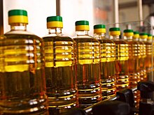 Правительство РФ увеличило квоты на экспорт подсолнечного масла и жмыха