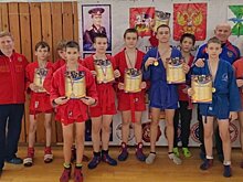 Спортсмены из Каширы после турнира по самбо привезли домой медали