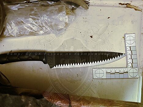 Предновогодняя вписка закончилась кровавой резней в Костроме