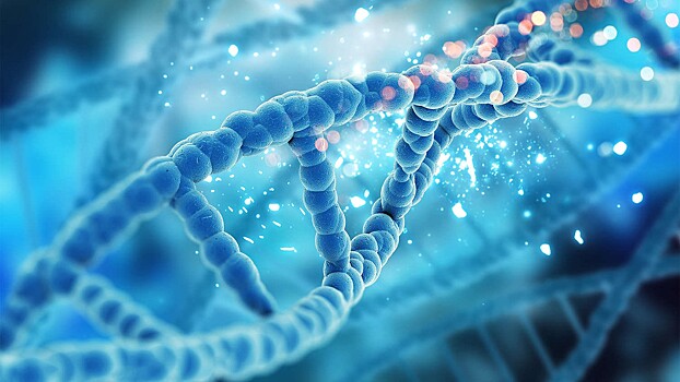 Обнаружена связь между плохой экологией и биологическим старением