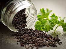 Дачникам и огородникам не хватает семян